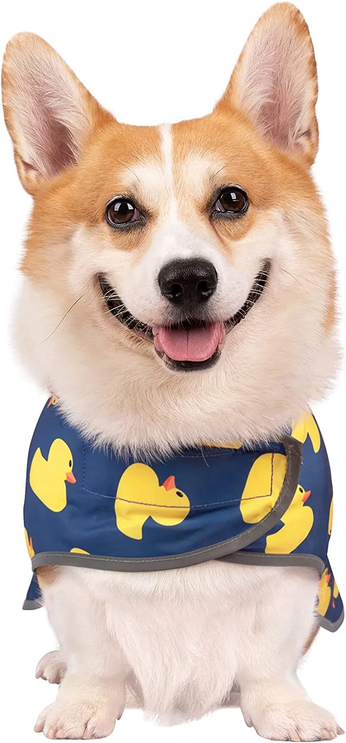 Adjustable Pet Raincoat with Hood